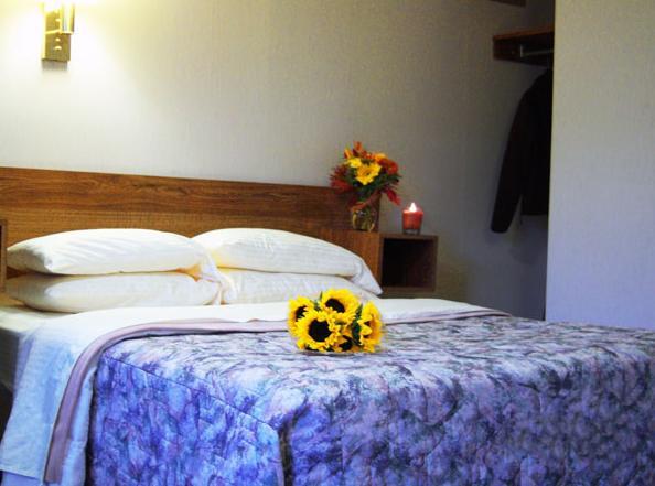 Tall Pines Motel Lake George Phòng bức ảnh